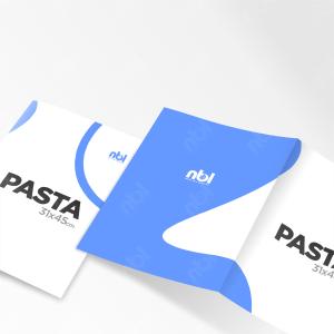 PASTAS PARA EXAMES Papel Cartão Supremo 250g 45X31cm - Para folhas A4    